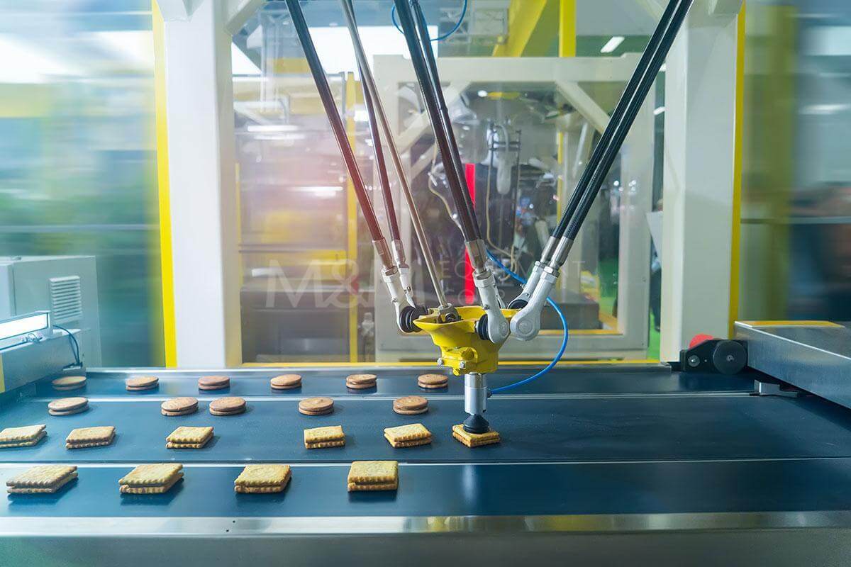 In the Food Industry, Automation in Processing and Packaging Makes All