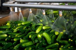 What’s Behind Food Production and Processing Equipment Choices