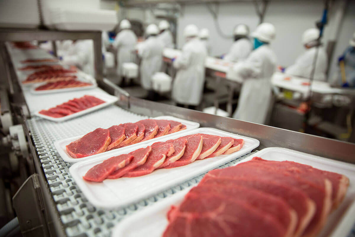 meat processing business plan