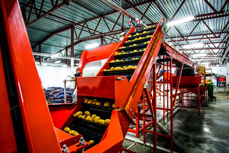 Helpful Tips to Reduce Food Processing Plant Costs and Increase Revenue