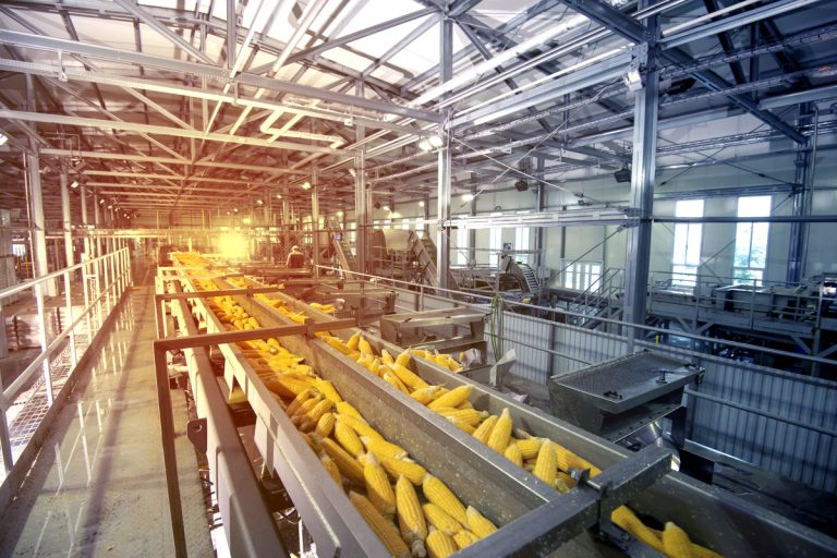 How to Have Success With Your New Food Processing Business Venture