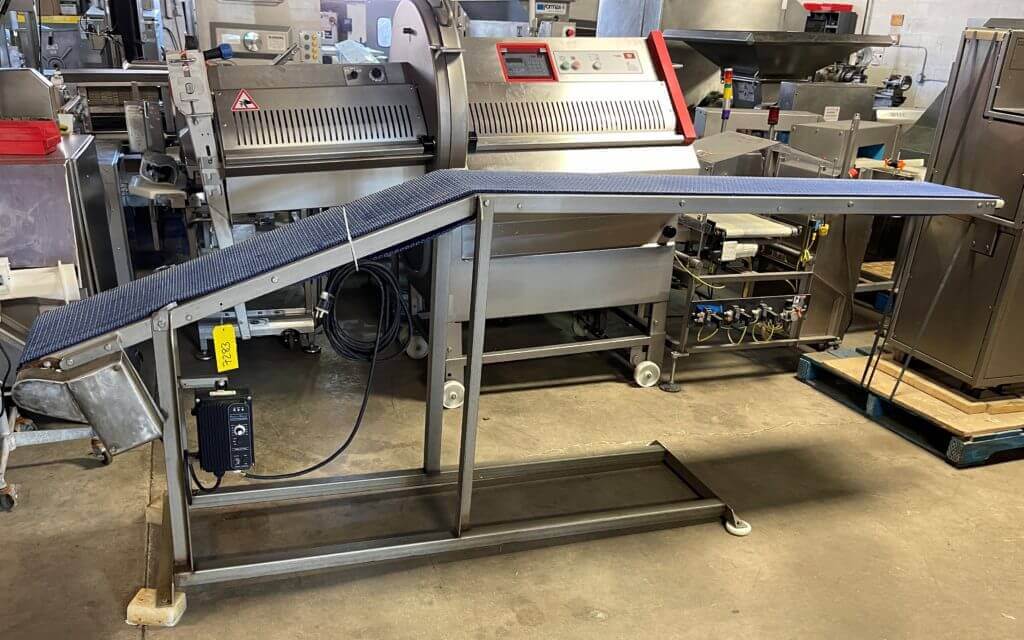 Custom Stainless Conveyor