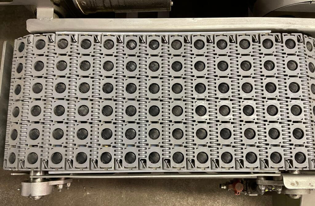 Friesens Transfer Conveyor - view 3
