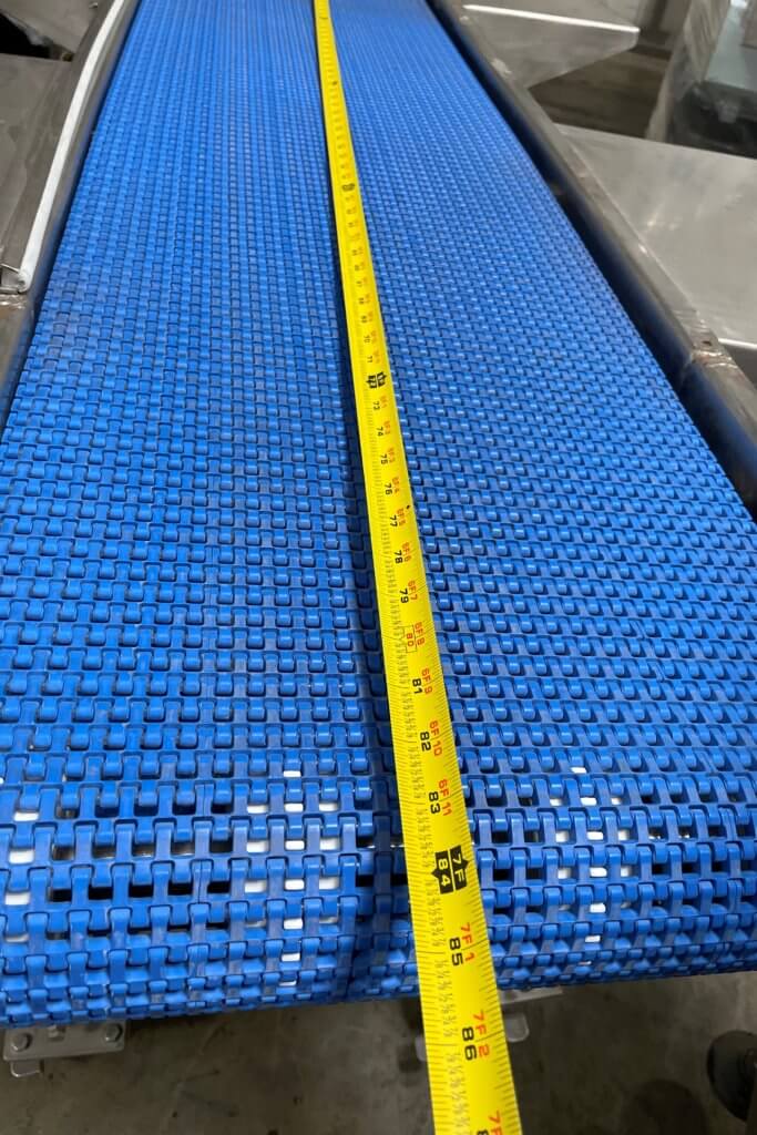 Custom Stainless Transfer Conveyor - view 3