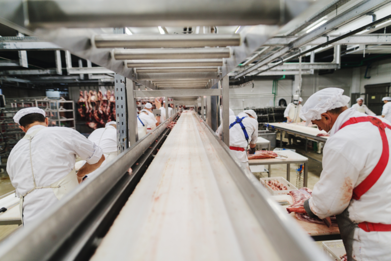 Common Issues That May Impact Meat Processing Efficiency and Yield
