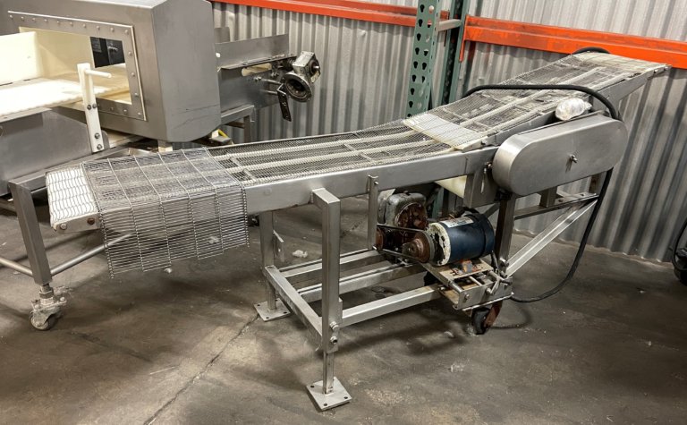 Custom Stainless Transfer Conveyor