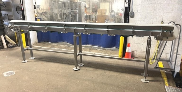 Custom Stainless Transfer Conveyor