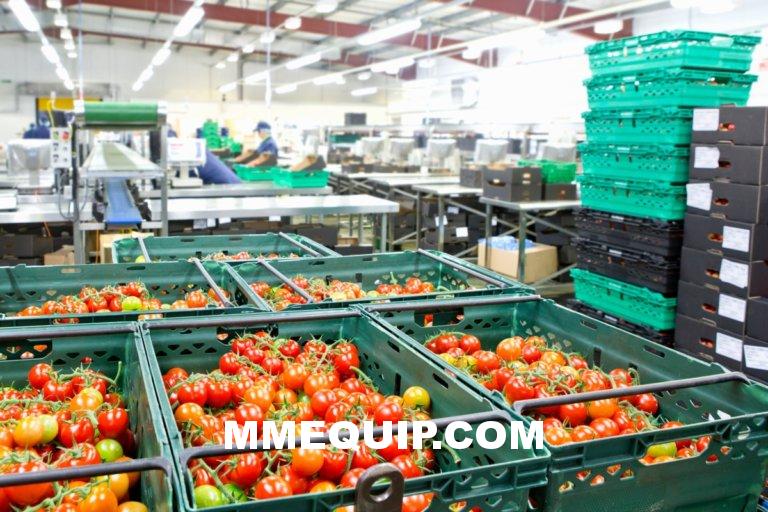 industrial food processing industry