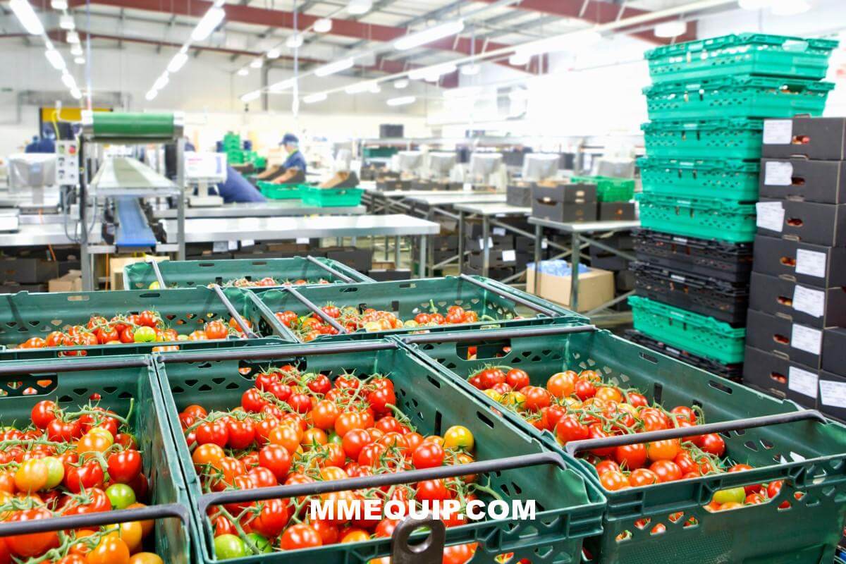 Ways forward for productivity in the industrial food processing industry