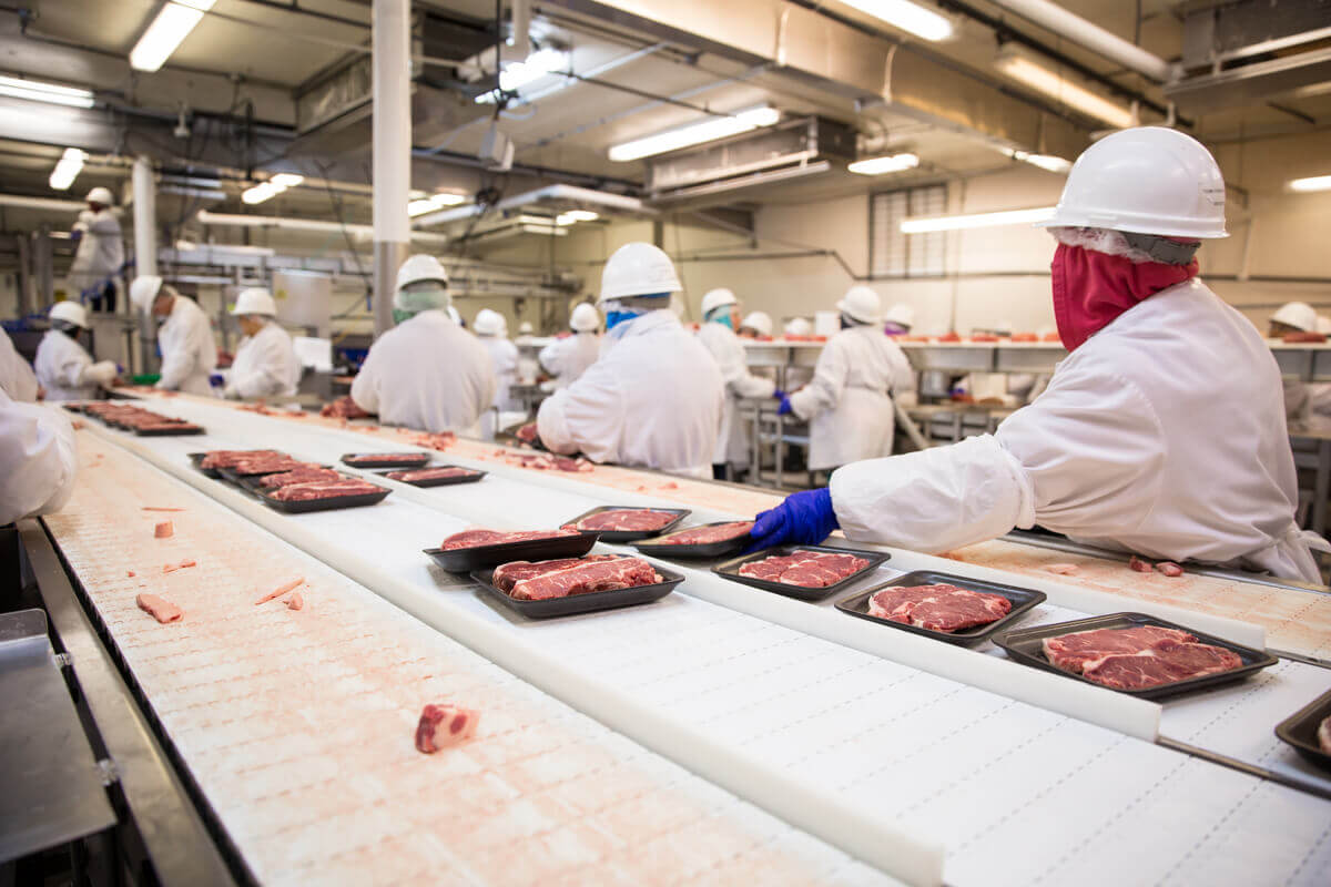 Food Safety for cannabis infused products.