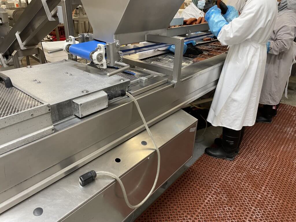 Multivac R 530 Rollstock Packaging Machine - view 2