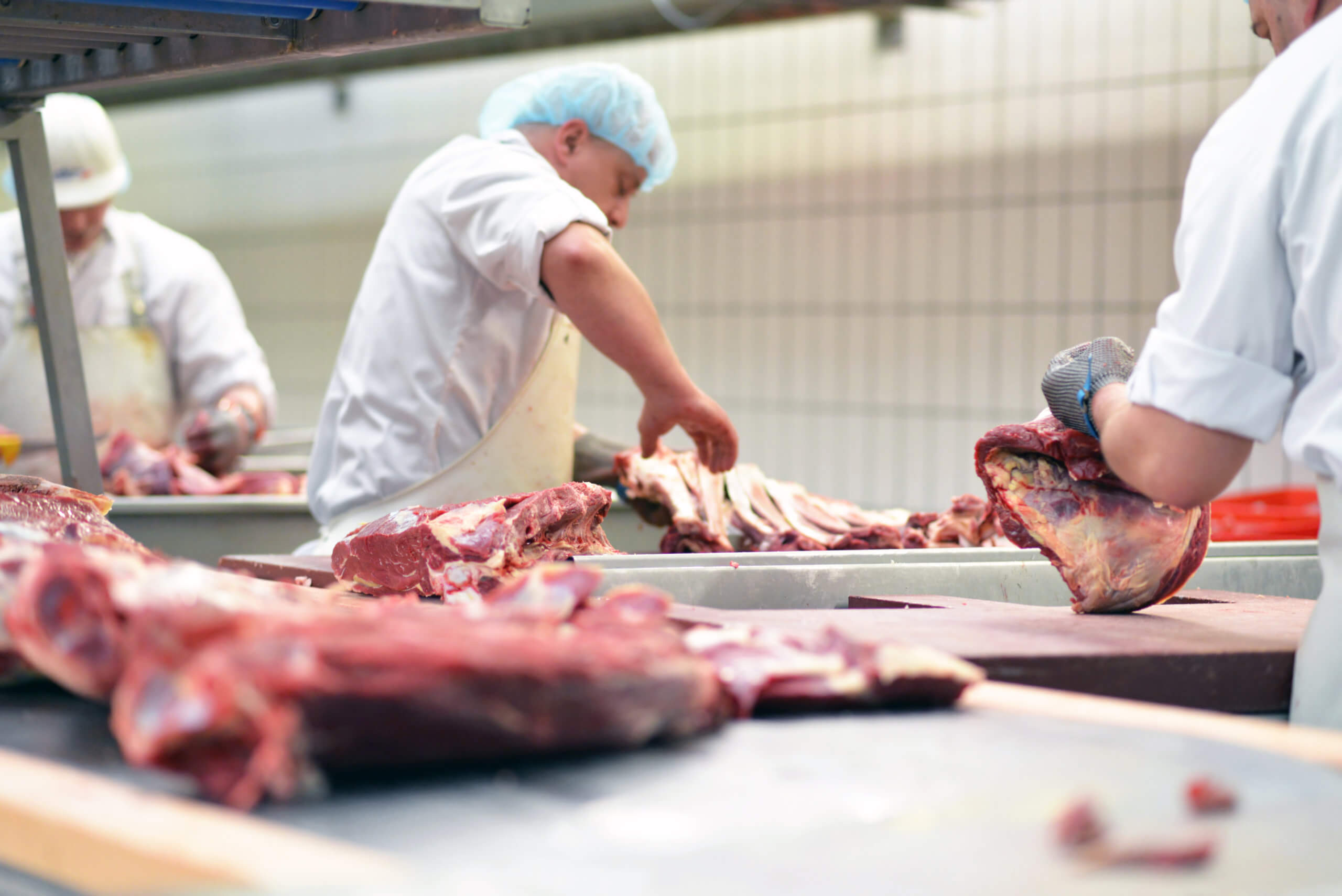 WHAT ARE THE BIGGEST CHALLENGES FOR MEAT PROCESSING?