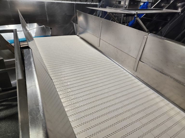 Custom Stainless Transfer Conveyor