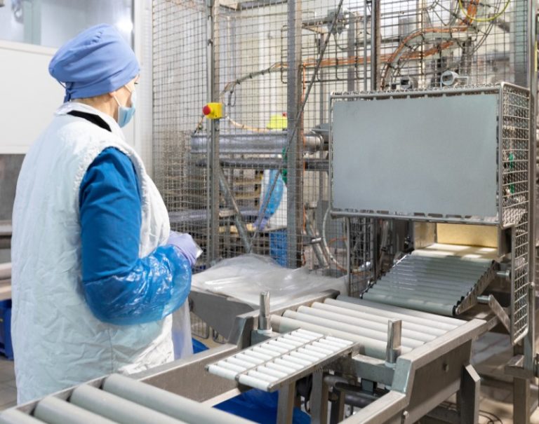 Understanding the Differences: Piston Stuffer vs Vacuum Stuffer in the Meat Processing Industry