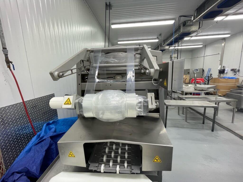 Ross IN450 In Line Tray Sealer - view 4