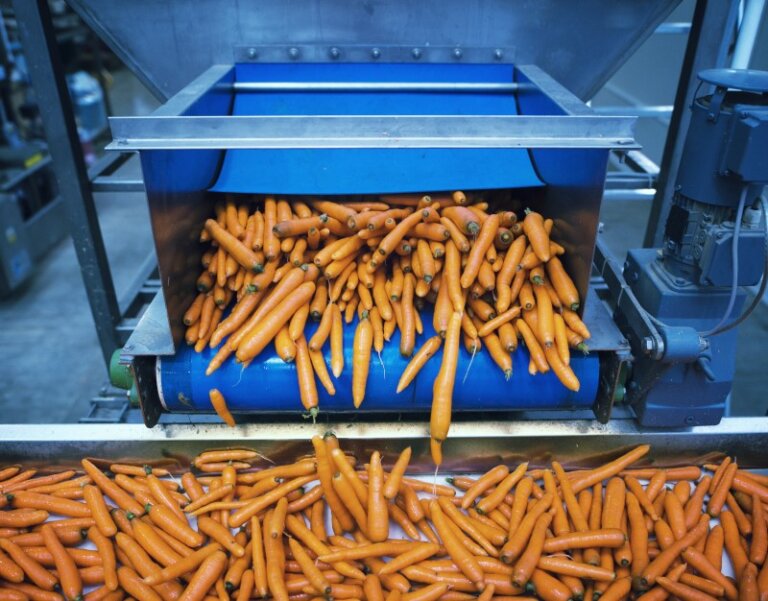 Creating a safe and hygienic Food Processing Environment