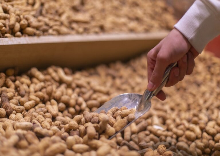 Quality Assurance in Pet Food Manufacturing