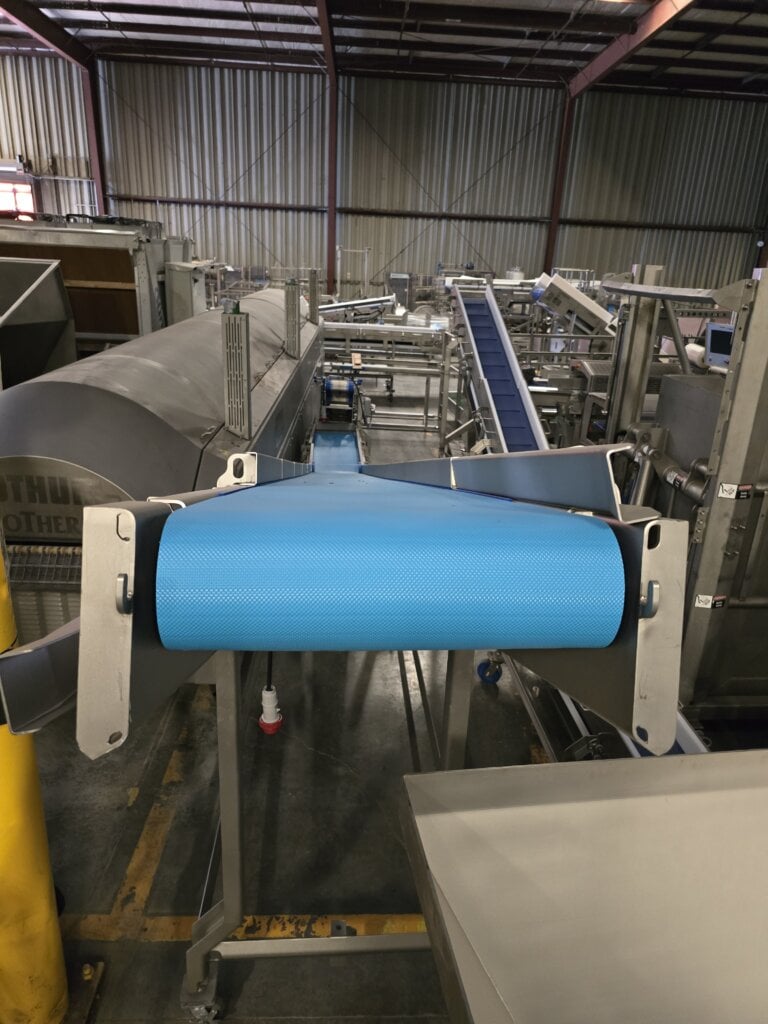Nu Clean Incline Conveyor - view 4
