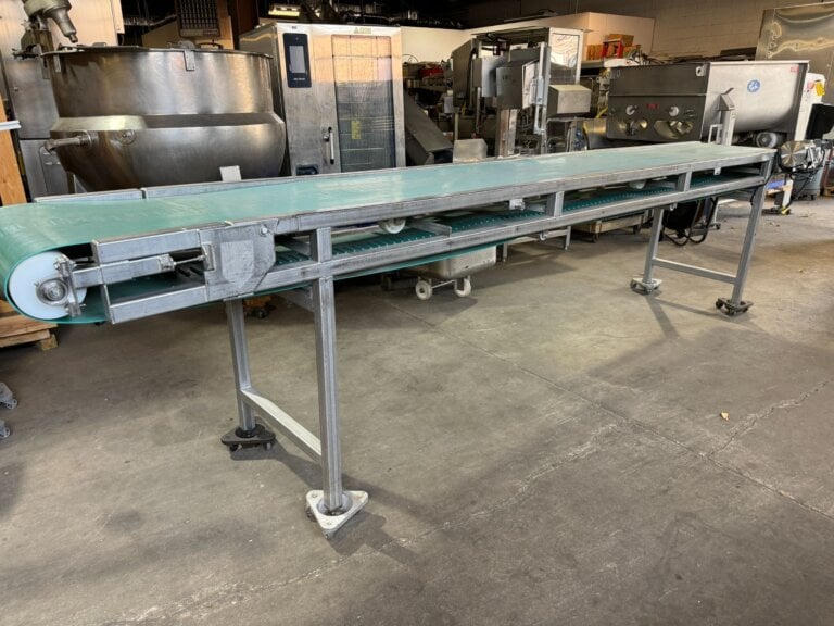 Custom Stainless Transfer Conveyor