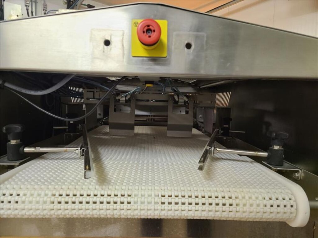 Reiser Ross S45 Inpack Preformed Tray Sealer - view 6
