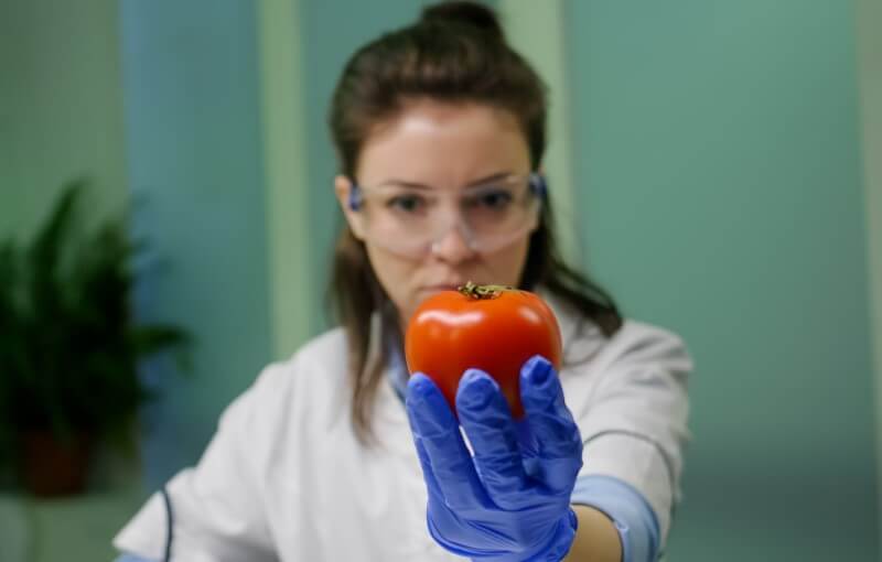 Food Safety Regulations