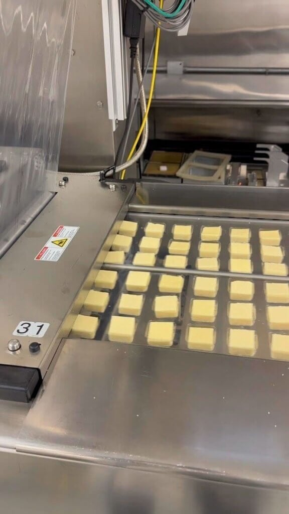 Multivac R 126 Rollstock Packaging Machine - view 4