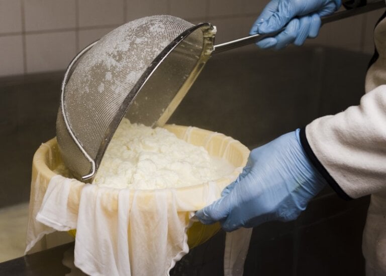 How Cheese Slicers & Graters Improve Efficiency in Food Processing