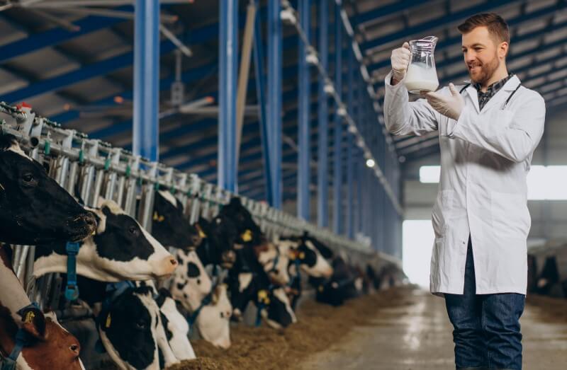 Proper Cooling Systems Matters in Dairy Production