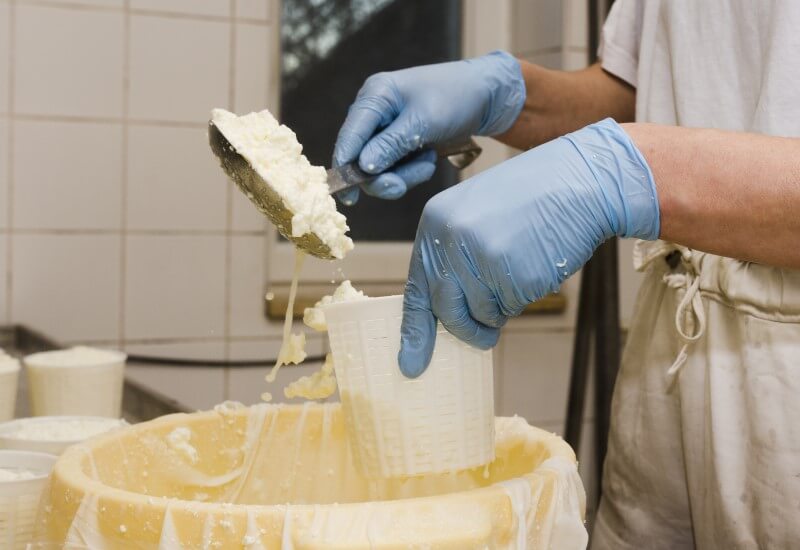 Essential Equipment for Commercial Cheese Production