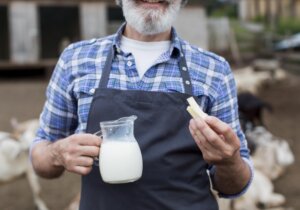 Essential Equipment for modern Dairy Processing