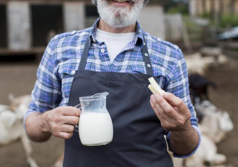 Essential Equipment for modern Dairy Processing