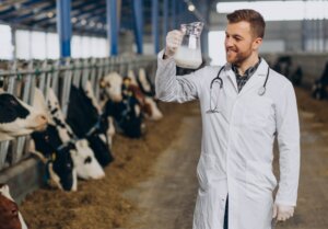 Importance of Stainless Steel Equipment in Dairy Equipment