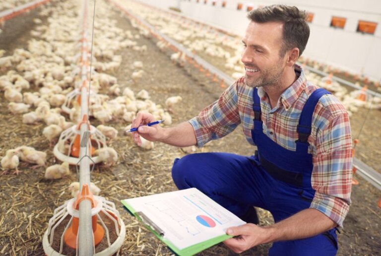 Why Portion Control is the Secret Ingredient in Poultry Processing
