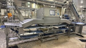 MAREL SENSORX X-RAY SYSTEM