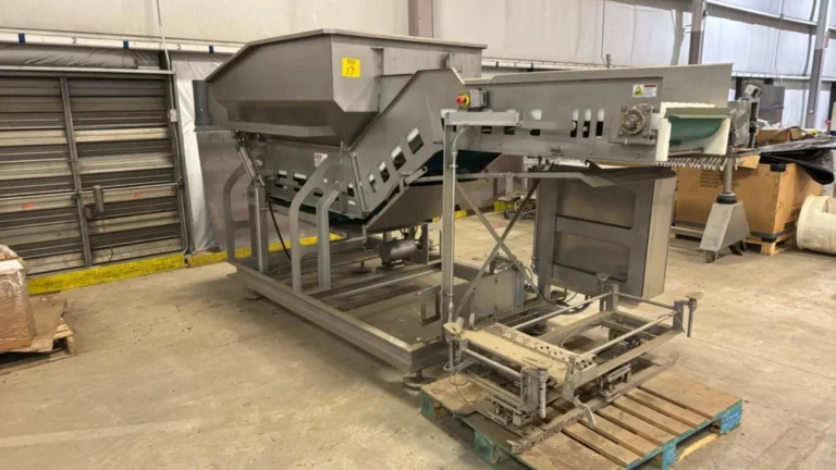 Stainless Steel In-Feed Conveyor