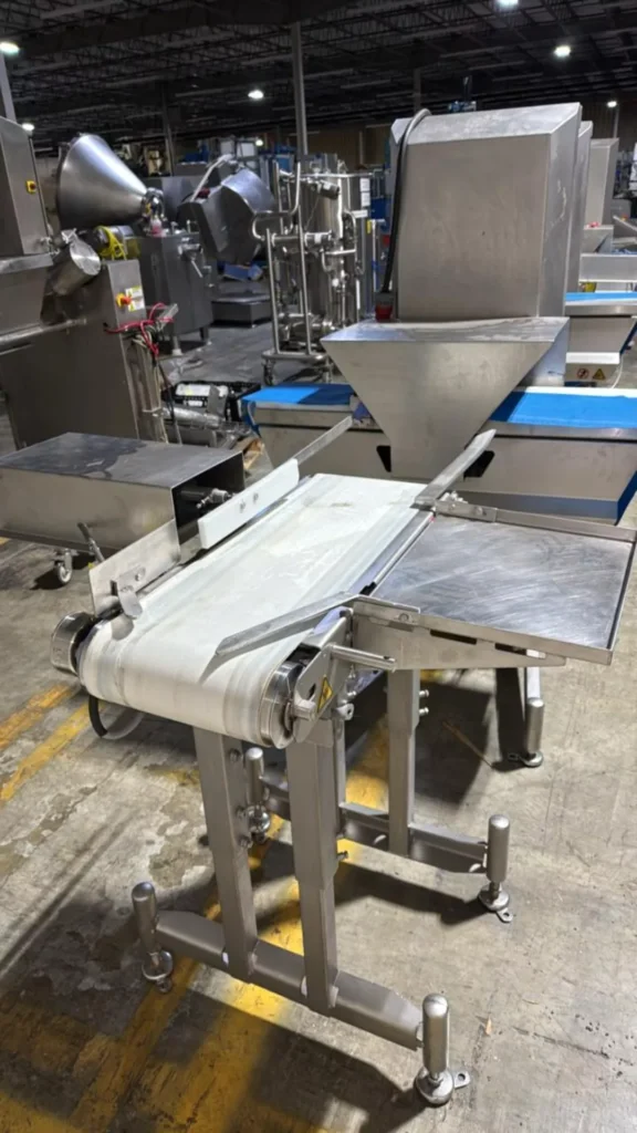 Vemag CHW-2000118 Checkweigher - view 14
