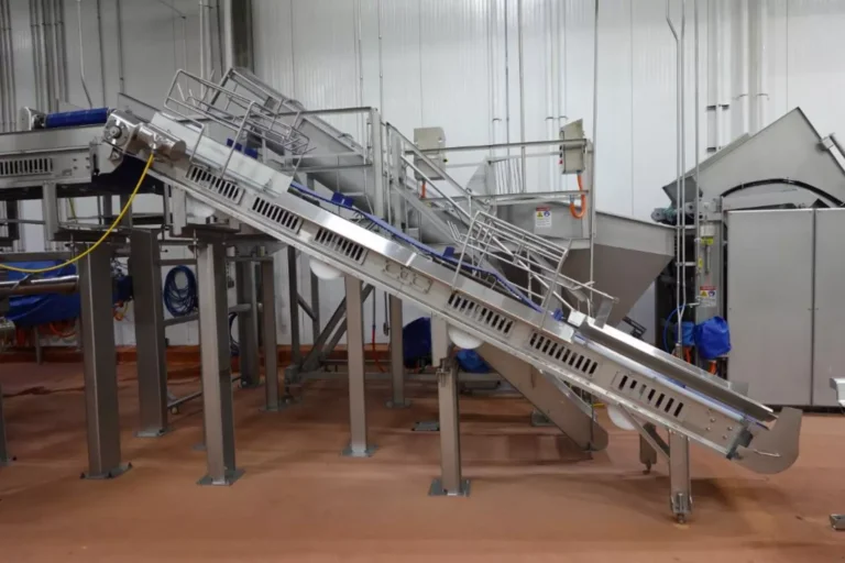 Cozzini CBC-5 SS Incline Transfer Belt Conveyor