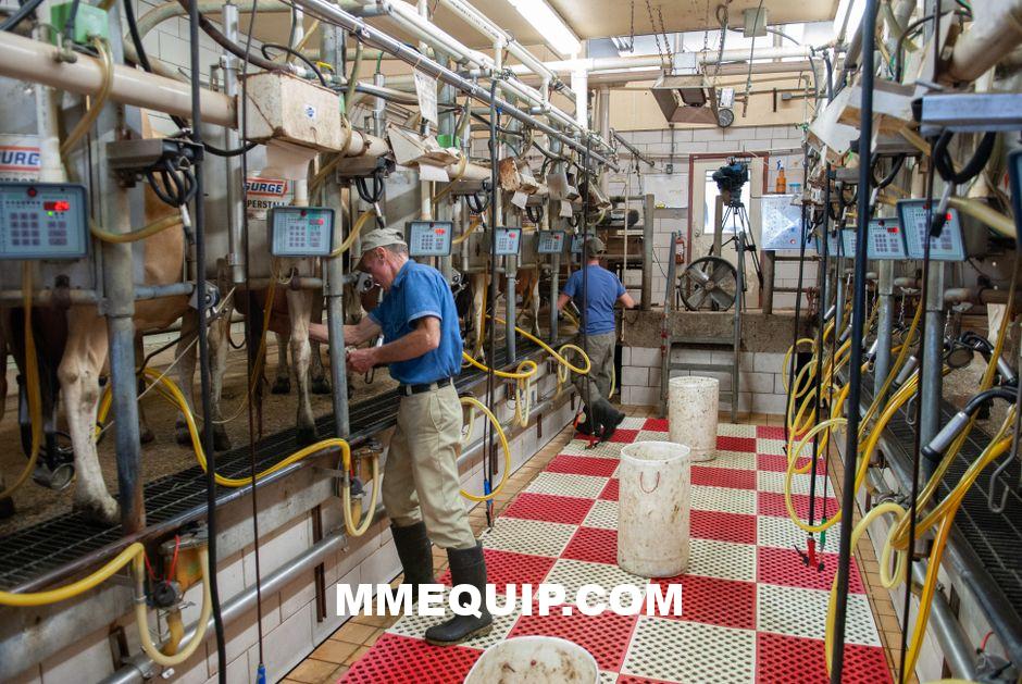 Used Food Processing Equipment for Sale: Where to Buy
