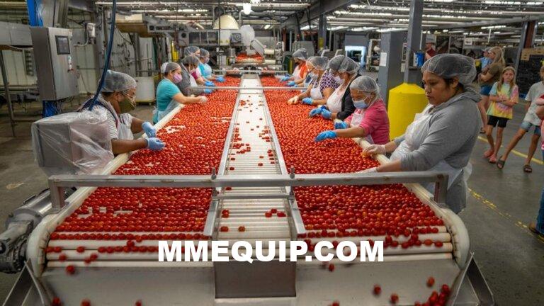 Best Used Conveyor Systems for Food Processing 2026: Top 5 Ranked
