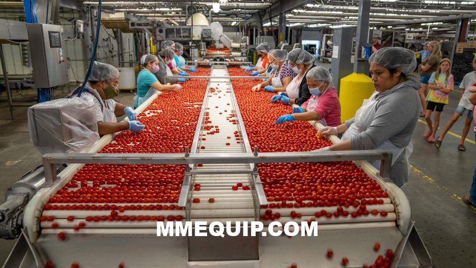 Best Used Conveyor Systems for Food Processing 2026: Top 5 Ranked
